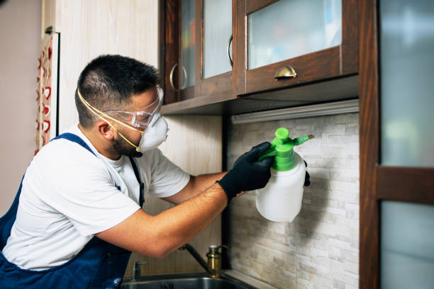 Best Pest Control for Homes  in Taneytown, MD