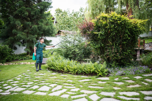 Best Residential Pest Control  in Taneytown, MD