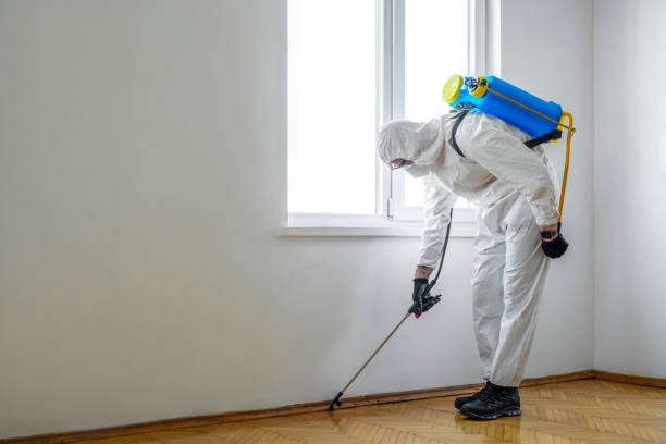 Professional Pest Control in Taneytown, MD