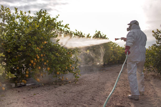 Pest Control for Restaurants in Taneytown, MD
