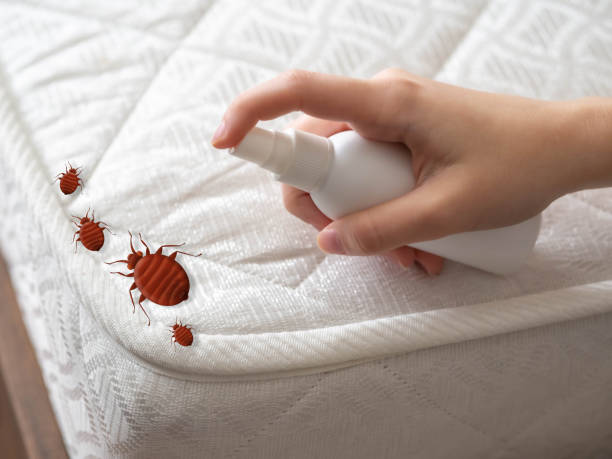 Best Pest Removal Services  in Taneytown, MD