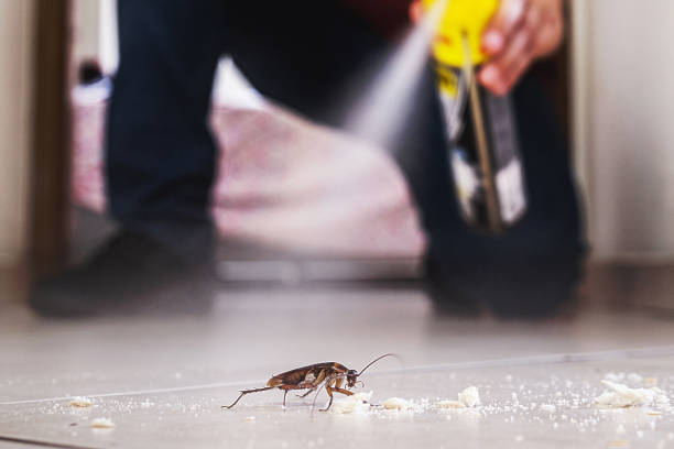 Best Mosquito Control Services  in Taneytown, MD