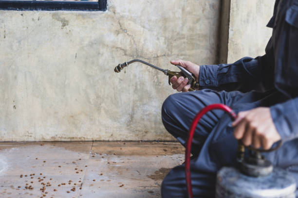 Best Exterminator Services  in Taneytown, MD